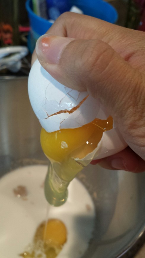 LOOK AT THIS ONE HANDED ACTION SHOT!  Do you know how hard it is to crack and open an egg with one hand?  The eggstremes I go to for you.  
